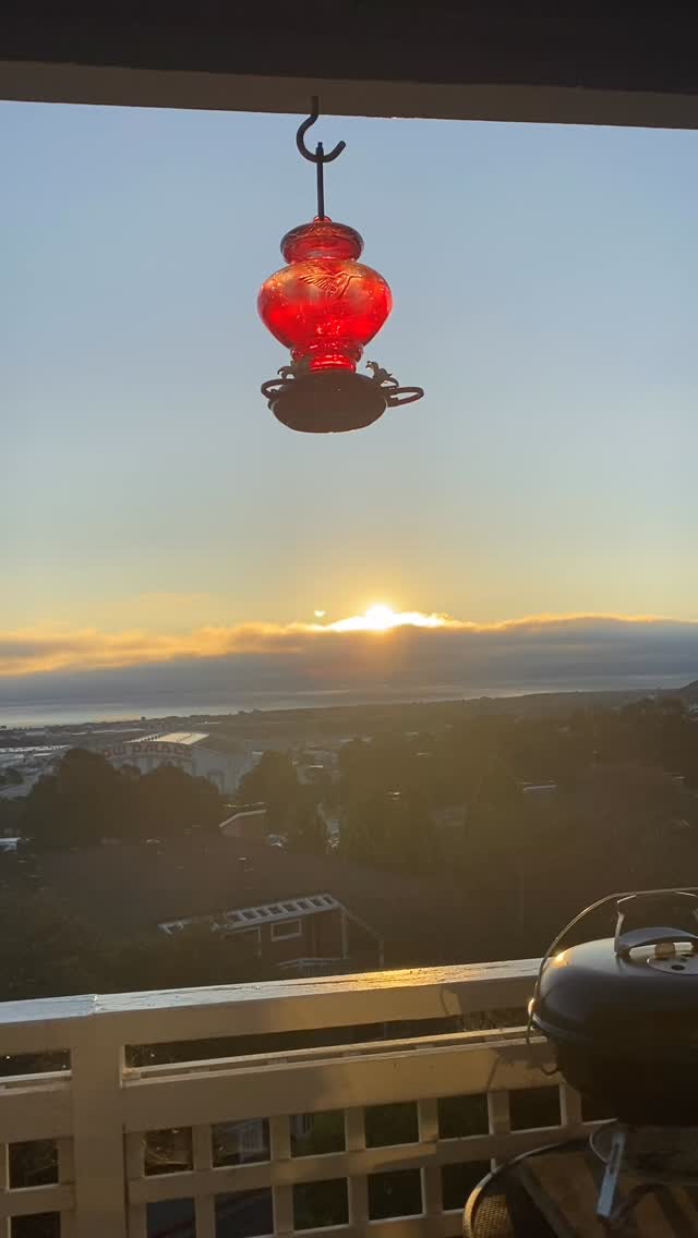 What will be Your Organizing Plot Twist?
This is the speech I will start giving to every client as they dive into their organizing adventure...
Things are about to get really, REALLY good!
I know you’re standing in your space right now feeling overwhelmed. Maybe you’re staring at that closet, that garage, that kitchen counter that somehow became a mail sorting facility. You know you need this. You know you need motivation. You know you need something to look forward to.
But here’s what you REALLY need to know:
Working with a professional organizer won’t solve all your problems (I wish it could!), but it WILL be the jumpstart to something so much better:
✨ New systems that actually work for YOUR life
✨ Less clutter weighing down your mental space
✨ Calmer spaces that welcome you home
✨ Easier resets when life gets messy again
✨ Less chaotic mornings (goodbye, frantic shoe searches!)
✨ More time for what actually matters
✨ Clearer thinking in uncluttered spaces
✨ Better sleep in peaceful bedrooms
✨ Easier entertaining when everything has a place
✨ Kids who can find AND put away their own stuff
✨ Less stress when unexpected guests drop by
✨ More confidence in your space and routines
The truth is, you don’t need to have it all figured out before we start. You just need to START.
Your organized life is waiting for you on the other side of this decision.
Ready for YOUR plot twist? DM me or visit my website at CloudyToClearPO.com and set up your complimentary phone consultation.
#cloudytoclear #sanmateoorganizer #sanfranciscoorganizer #ProfessionalOrganizer #OrganizedLife #HomeOrganizing #DeclutterYourLife #OrganizingMotivation #ClutterFree #OrganizedHome #HomeReset #OrganizingTips