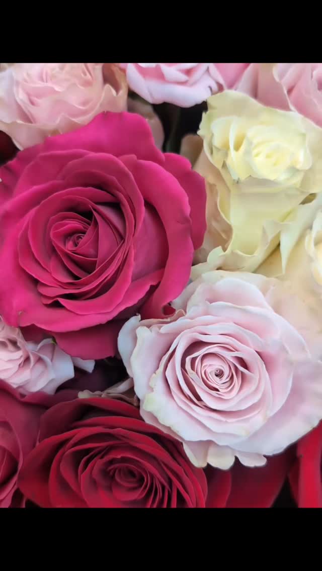 Douceur et élégance réunies… 🌸✨
Découvrez notre somptueux bouquet de 50 roses roses panachées 🌹🌹🌹, un hymne à la délicatesse et à l’amour raffiné 💖.
Parfait pour célébrer un moment unique ou simplement offrir un geste inoubliable 🎁.
📍 Fleuria Fleuriste – 4 boulevard de l’Armée des Alpes, 06300 Nice
#FleuriaNice #BouquetDeRoses 🌹 #RosesPanachées #FleuristeNice #ÉléganceFlorale ✨ #DouceurEtRaffinement #ArtisanFleuriste #NiceCôteDAzur #OffrirDesFleurs #MomentPrécieux