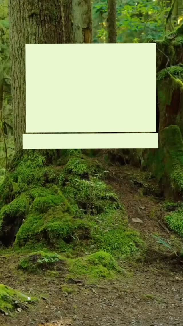 Did you notice how the forest doesn’t rush…
yet everything gets done?
Beneath the surface, in the stillness,
something powerful is always happening.
And just like that…
your subconscious is listening.
Quietly. Constantly.
Your beliefs are growing roots.
🌱 Choose wisely what you plant there.