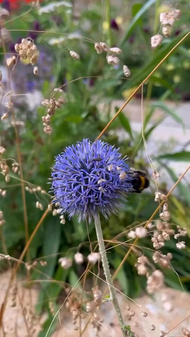 Autism & downtime…
For autistic people, downtime isn’t a luxury; it’s essential.
Downtime lets us:
❤️🩹Recover from sensory overload
❤️🩹Prevent burnout
❤️🩹Establish monotropic flow
❤️🩹Experience joy (and what could be better than autistic joy?)
In case anyone needed to hear it, this post gives you permission to:
❤️Stay at home
❤️Keep the pyjamas on
❤️Eat the snacks
❤️Read the book
❤️Play the video game
❤️Binge the show
Protect your rest. It powers everything else.
Lucy Pollard Therapies