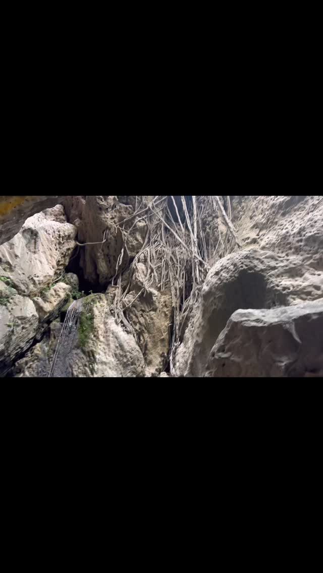 Give the resorts a break, experience the REAL Jamaica!
Come vibe where the culture lives — luxury, nightlife, river limes, and real Jamaican flavor.
Jamaica With J. All access, no filter 🇯🇲🔥
#OffTheResort #AuthenticJamaica #JamaicaWithJ #visitjamaica🇯🇲 #kingstonjamaica #reggaemusic #dancehallmusic