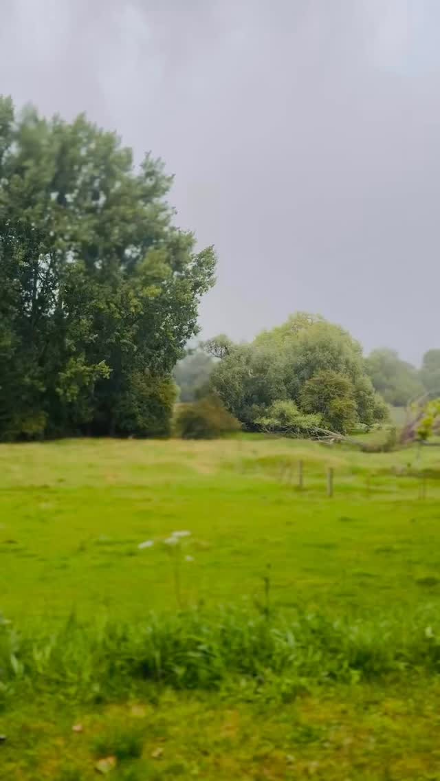 Der Tee dampft, Yasuo schnarcht leise, draußen trommelt der Regen aufs Dach.
Kein Postkartenmoment. Und doch…irgendwie vollkommen.
Über Regentage, langsames Reisen und das Schöne im Unperfekten schreiben wir im neuen Artikel.🌧️.
📖 „Postkartenwetter, Regentage- wie Erwartungen reisen“ (Link in der Bio)
#wegestattwände #regentage #vanlifediaries #vanlifejournal #trevelblog #selfreflections #loslassen #zuhauseaufrädern #neuanfang #wohnmobilleben #blogpost #minimalismus