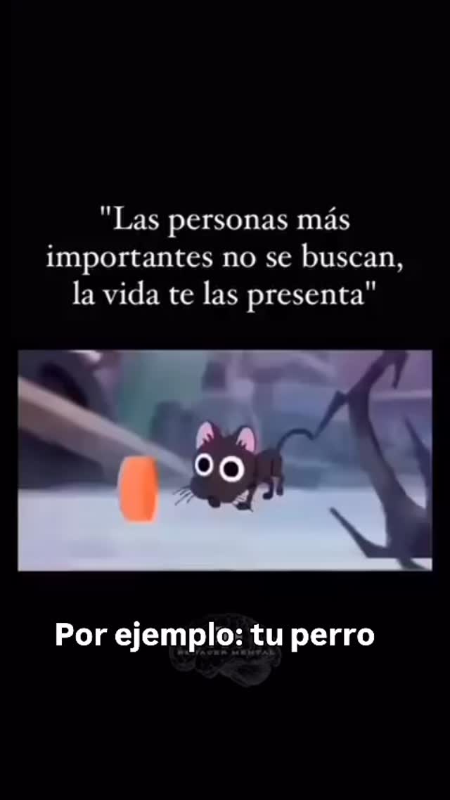 Y yo diría lo mismo de todos los seres no solo ls personas! Sientes que tu perr@ llegó a ti por algo especial?