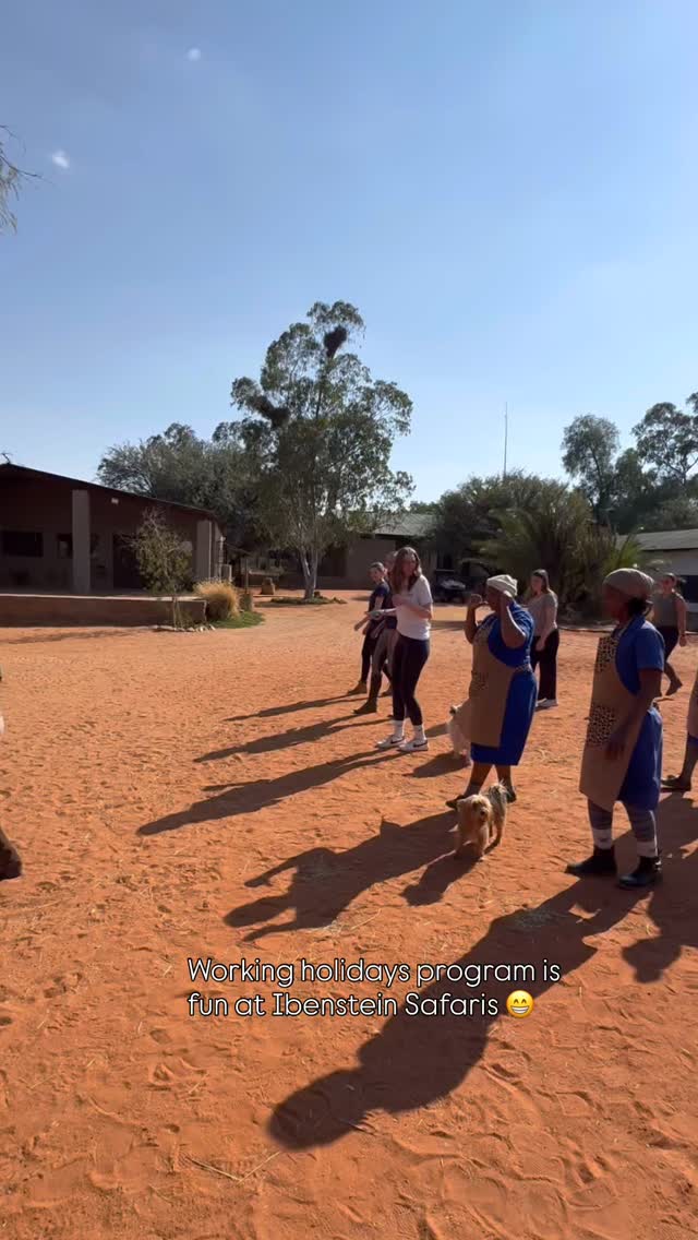 When one of our volounteers wants to teach us the line dance and even our workers joined the dance 👌😁
#workingholiday #volounteerproject #horsevolontaires #linedance #horseridingholidays #dancefunny🤣💃👯♀️ #namibianlodge #namibianvibes