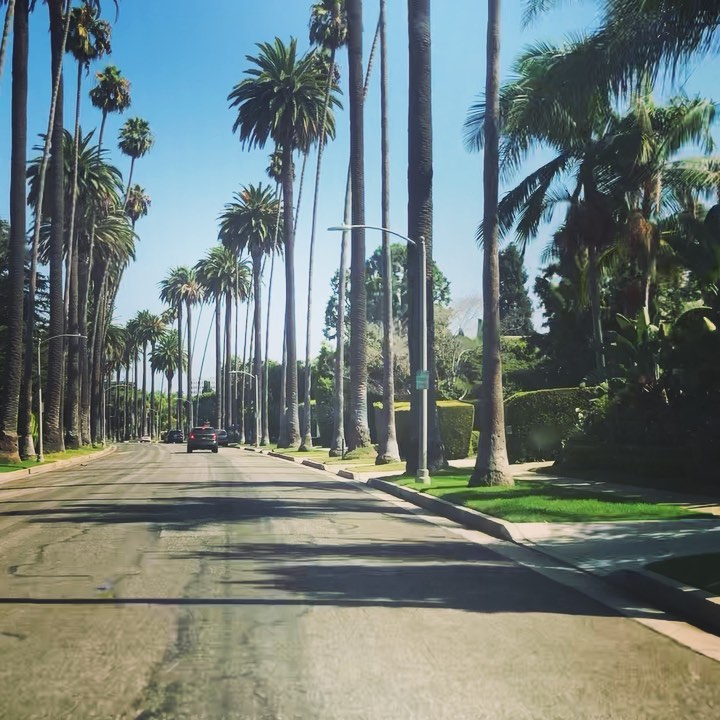 For 🎶 “...every girl in this town...” 🎶 & so many other towns - with big, open dreams, healed, loving hearts, & all the rest that makes up Y💖U - 🎶 “Yeah, dust yourself off, Put your lipstick on, You got this Baby, & So what if you don’t...” 🎶 Thank y♥️u for the reminder, @trishayearwood. 🙏🏻 #togetherwerise.