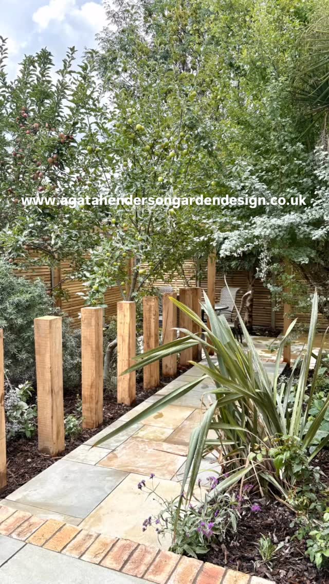 #gardendesign #urbangarden #planting #nature #plantingdesign #wildlifefriendly