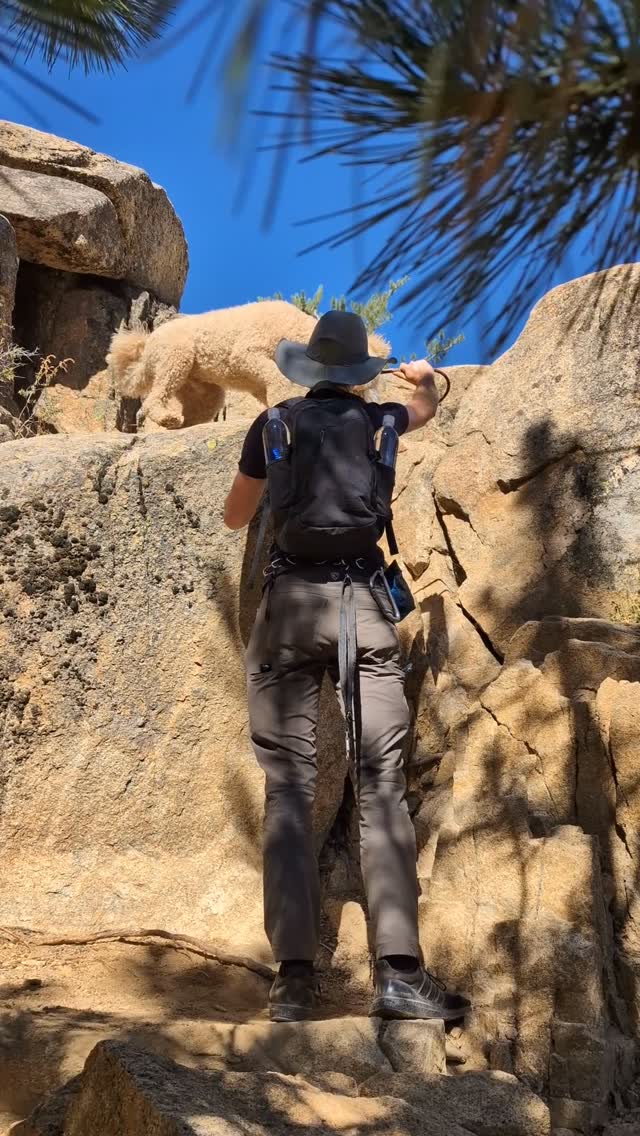 Swim trip with the pack!
.
.
.
.
.
#packwalks #packwalk #dogwalker #dog #dogwalking #dogwalkerlife #dogwalkersofinstagram #dogwalkerslife #dogwalkers #dogs #doglover #hikingla #lahiking #hiking #dogsofinstagram