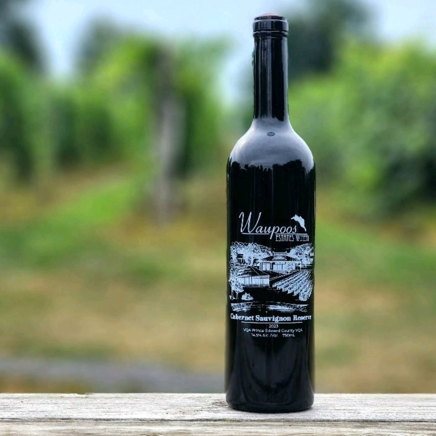 Cabernet Sauvignon Reserve 2023.
Aged in American oak for 18 months, this bold red opens with rich aromatics of black currant jam, blackberry, and purple plum — layered beautifully with warm notes of vanilla and mocha.
Full-bodied with firm tannins and a long, lingering finish… it’s a bottle worth savouring.
@pecwine