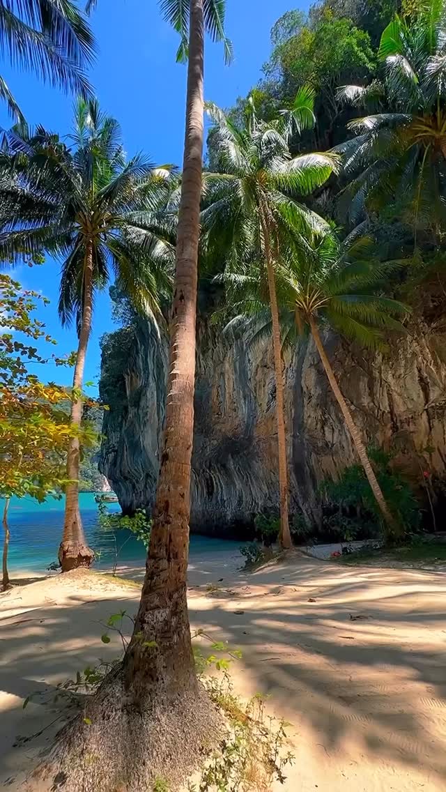 Island life captured by @thailand_adel 🌴
Whether it’s world-class snorkelling, laid-back beach life, or unspoilt marine parks you’re looking for, Koh Samui is the perfect launchpad for unforgettable island adventures and island-hopping excursions.
#limesamuivillas #kohsamui #thailand #luxuryvilla #travel #islandlife