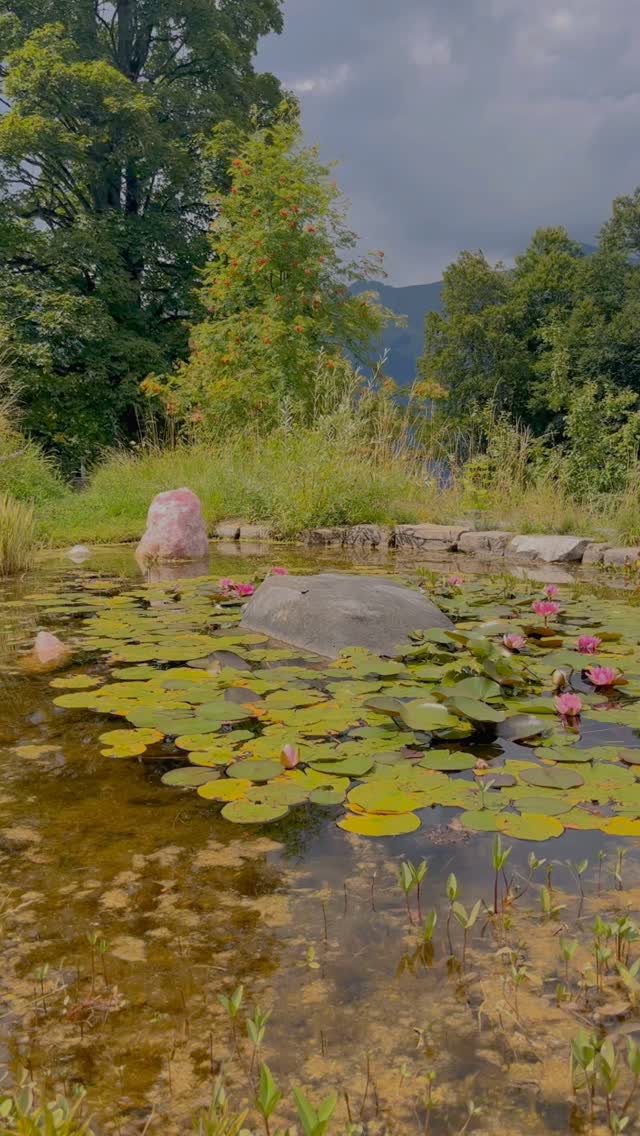 Healing Tantra Luzern
#entspannung #massage #sinnlichkeit #lucerne #luzern #tantra