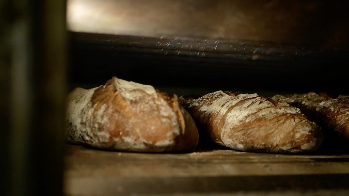 Pa francès a punt de sortir del forn 💨
.
.
.
Pan francés a punto de salir del horno 💨
#paartesà #panartesano #massamarenatural #pafrancès #panfrancés