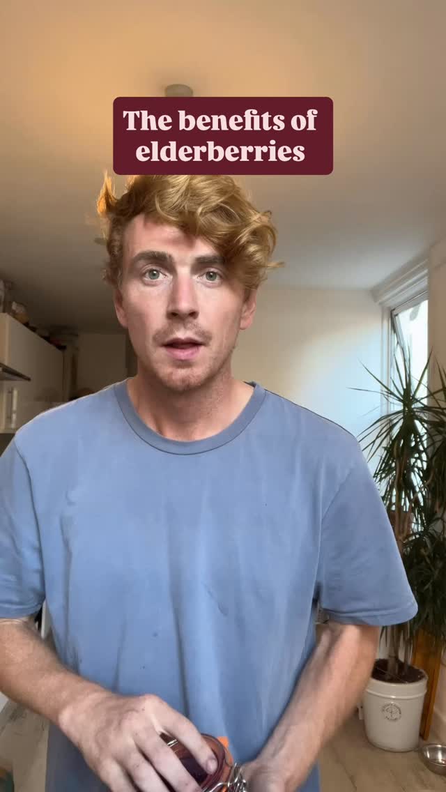 Should we be buying cold and flu medicine from the pharmacy, or just making elderberry syrup?
Of course there’s a place for modern medicines, but I truly believe that if people picked and made a few more natural, medicinal remedies themselves, that we’d all be happier and healthier. Even just the getting outside helps to improve our immune systems! I keep a jar of elderberry syrup in my fridge from August to the end of Winter. I’m a small sample, but I very rarely get unwell. Let me know your experiences in the comments. @kilneruk thanks for the beautiful jar!
#foraging #herbalmedicine #elderberry #naturalremedies