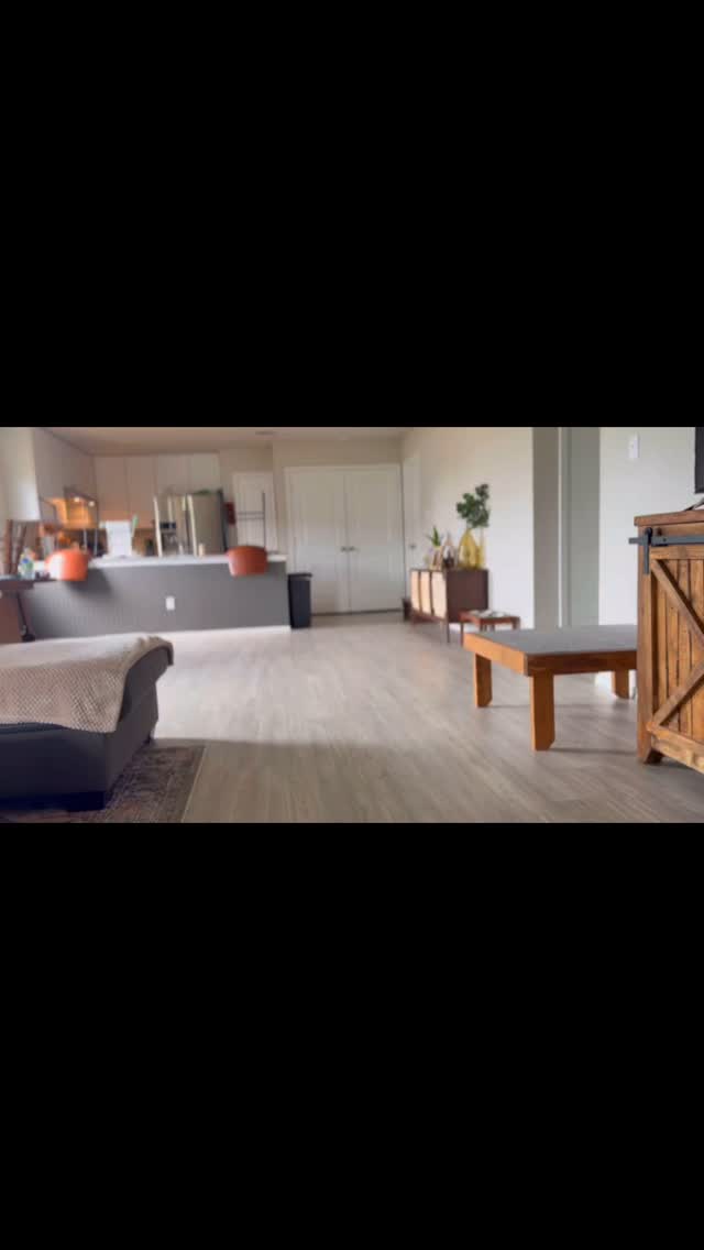 🎥 Real-time progress. Real peace of mind.
We don’t just tell you how your dog is doing—we show you.
Every update is a chance to see the training in action, track milestones, and stay connected while your dog is with us. This is just a glimpse of what our clients receive throughout their board & train experience.
📞(210)786-9252
🌐www.xcaliberk9.com
#DogTraining #BoardAndTrain #DogProgress #DogTrainerLife #BeforeAndAfter #ClientExperience #XcaliberDogTraining