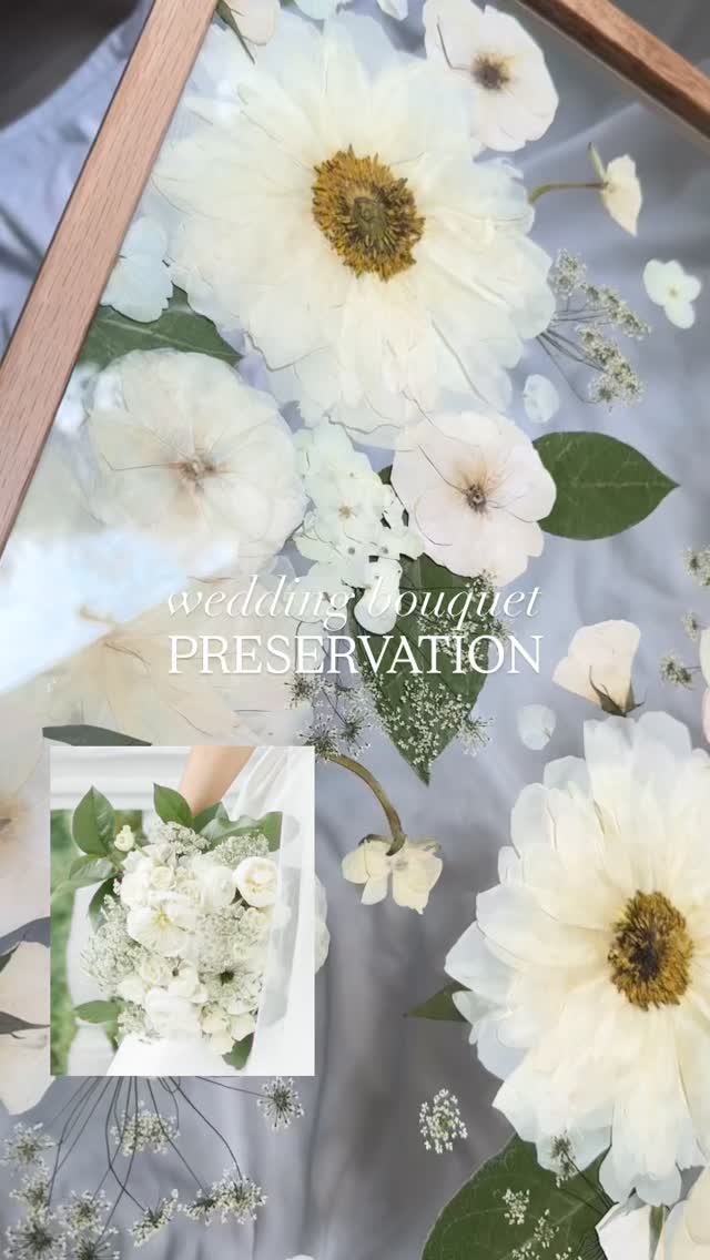 It was such a pleasure to preserve and display Meredith’s wedding bouquet. Thank you, @mere__elliott 🕊️✨🤍
Wood Framed Wall Hanging
Size / 6x6 and 16x20 inches
Frame / Natural
Layout / Abstract
Fresh bouquet photo by @megangloverphotography
Fresh bouquet by @jeffreysurlesdesigns
#ncfloralpreservation #pressedweddingbouquet #weddinginspiration #2026wedding