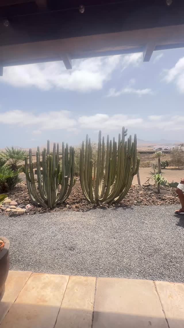 #faitmain #arttextile #pieceunique #mexique #robe #byelote #lifestyle #summervibe #luxurystyle #luxuryvacation