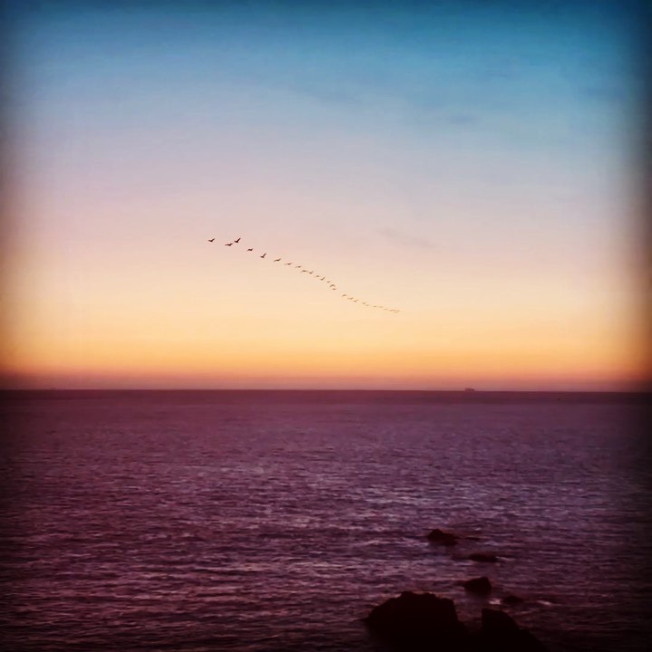 “MUST BE P R E S E N T TO WIN”
A friend of mine likes to say this, and it often comes to mind for me when I catch myself noticing something I could have easily overlooked.
Birds in flight, particularly like these in a formation, often remind me of several things:
*That I am not alone, and that there is support in everything around me - much of which I may not actually see, but can sense.
*That there is an ease and beauty to be found in the rhythms of nature.
*That reminders and synchronicities are everywhere and in perfect timing, albeit sometimes subtle. My job is to be paying attention, so that I don’t miss them. 😉
These are a few learnings that I continue to receive and “win” when I am present…(in addition to the beautiful view). 🧡
🌟What about you?
🌟What do you “win” when you are present?
#presentmoment #mindfulness #awareness #natureswisdom #whatdoyousee #rhythmoflife #leadershipcoaching #noticenature #naturesbeauty #noticing #easeful
