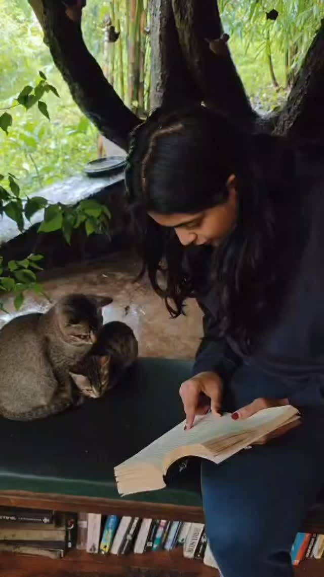 We do need some education
We do need some thought control
Some discipline in the classroom
Teacher, don’t leave the kids alone
All in all, it’s just another cat with the book. 🐈⬛
Thank you Teacher Rhutika 👩🎓
#cats_of_instagram
#cats
#edu
#nature
#rains
#retreat
#farmlife
#lake
#130awata