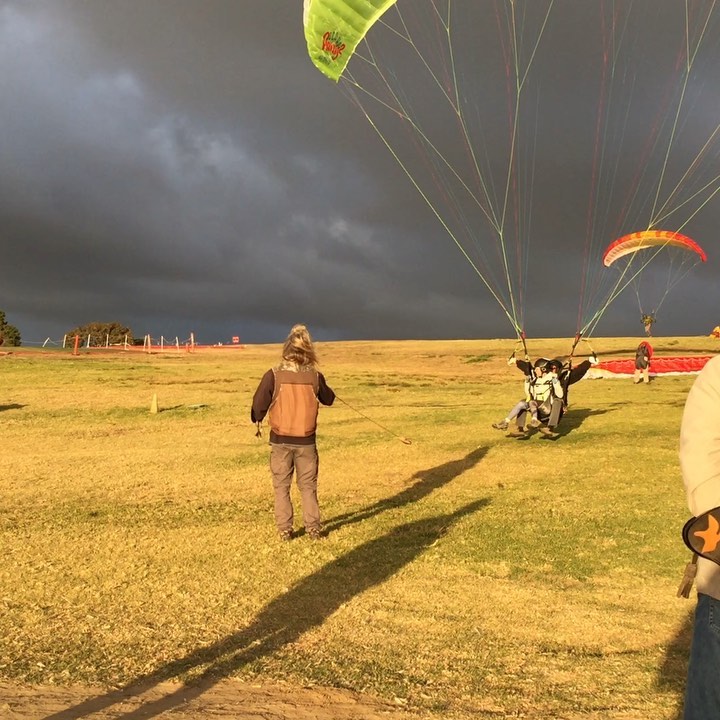 The light today was absolutely surreal. The baby falcon is getting fast!
#totalraptorexperience #falconryschool #flytorrey #lannerfalcon #optoutside #birdsofinstagram #nature #thingstodoinsd #lajolla #sandiego #socal