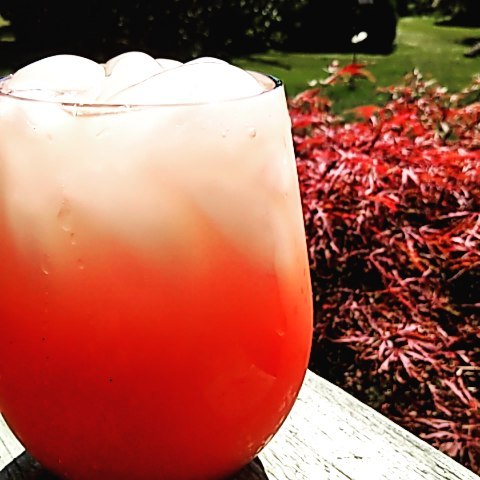 It's a fizzy-grapefruit, topped up to the brim, drink kinda day. Out in the garden, makin' Ehgo work for his supper ๐