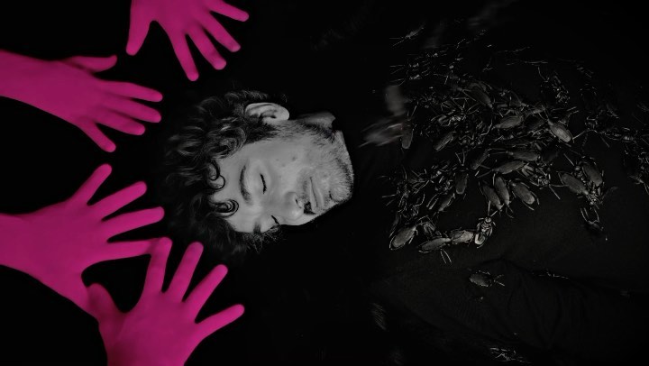 🪐🦩✨ "Flamant Rose" le vidéo extraterrestre réalisé par Nakissa Ashtiani débarque sur Terre ! Merci aux créatures de l'espace Adrien Jean et Carole Lejeune ! Merci à Charlotte Savary pour ses chœurs de sirène ! Sortie de l'EP : jeudi 22 avril.
L’intégrale du clip 👉 lien dans la bio
#Dattola #pink #flamingo #flamantrose #rose #stars #étoiles #sky #ciel #space #espace #extraterrestres #frottman #frotman @nakimini @ljn.carole @charlottesavaryofficial