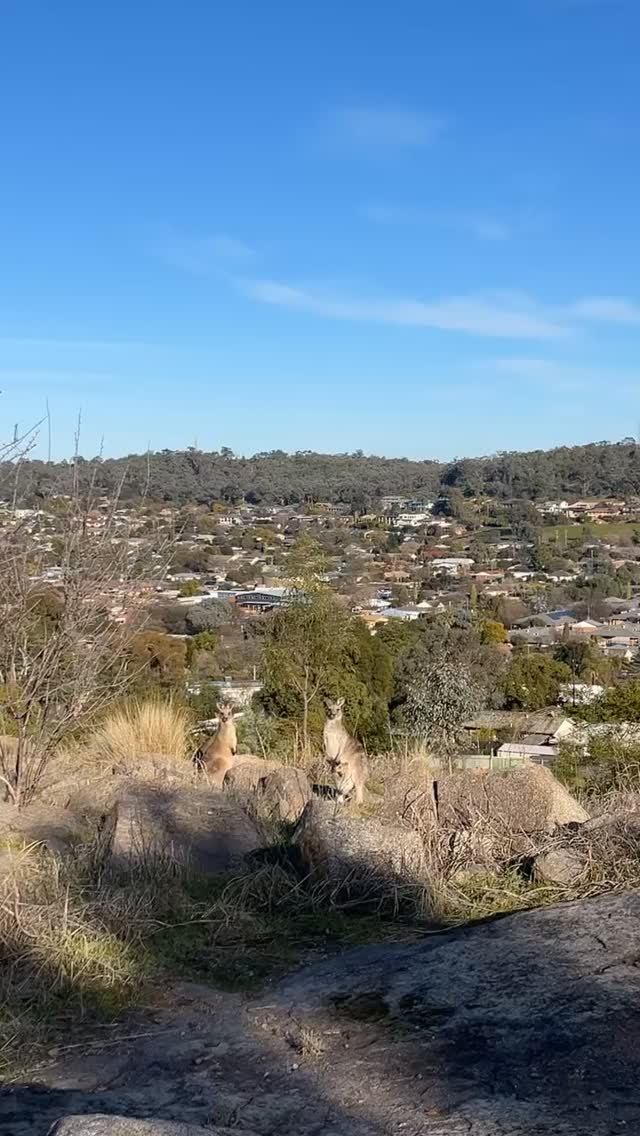 You are the flower 🌱🌼 what is around you supporting your growth, goals and values?