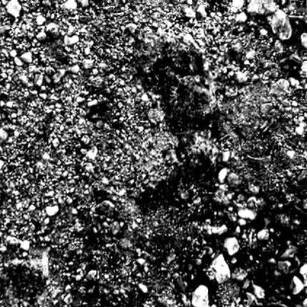 👀 @massiveattackofficial Fantom 2 Mezzanine 👉🏻 https://fantom.live/ #black #milk @robertthomascomposer @yairszarf @robert3delnaja
.
.
.
.
.
.
#massiveattack #black #milk #app #download #itunes #puredata #ableton #audio #legends