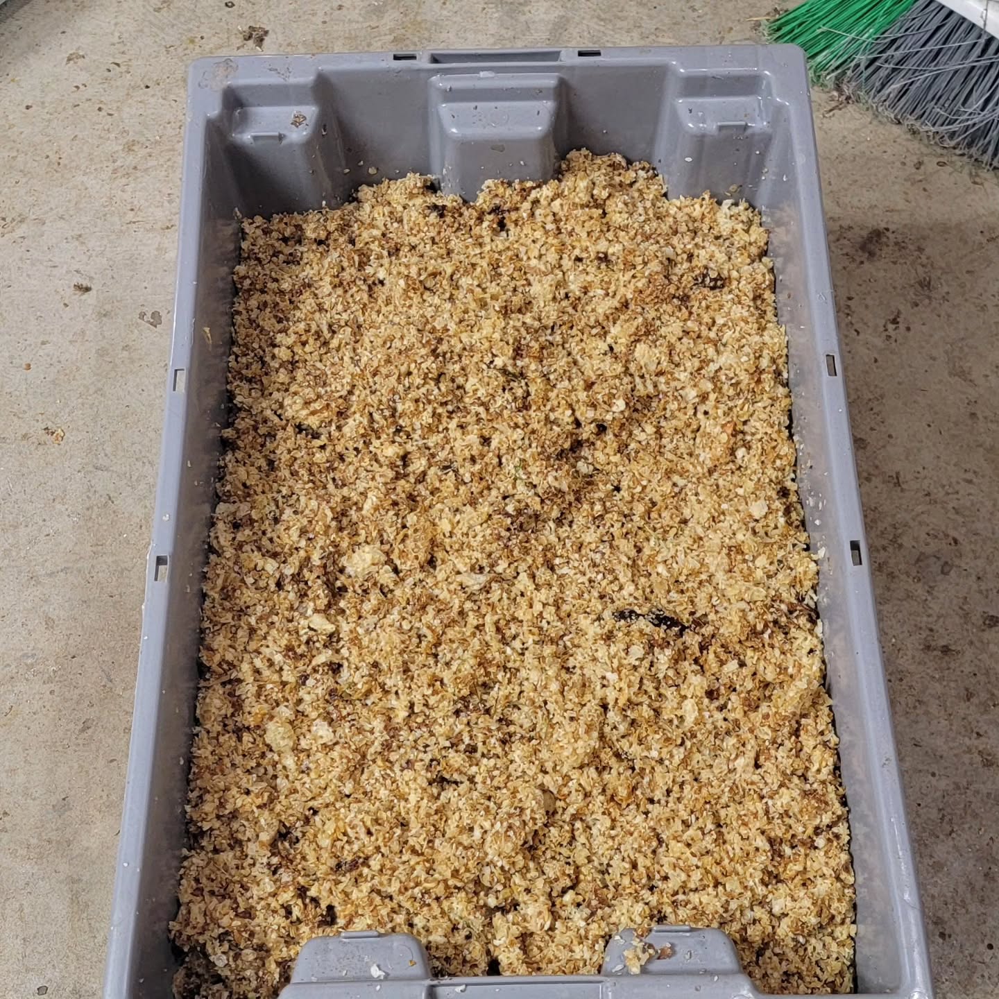 Beeswax! The bees use wax to seal the honey which means we have to remove it to get the honey out 🍯. We clean it, melt it and strain with cheese cloth to make beautiful pure beeswax