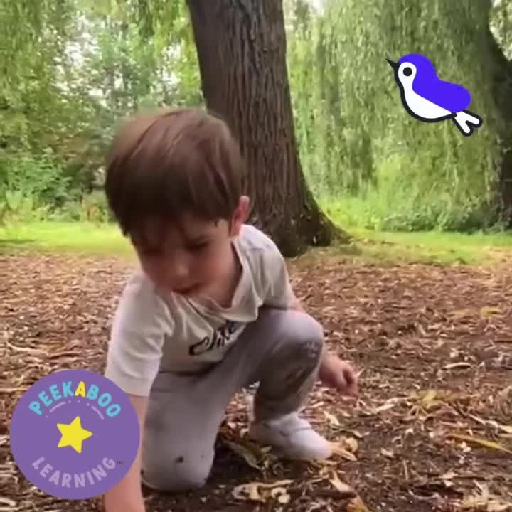 🕊 Make A Nest!
👋 This is another great fine motor strength building activity!
🪹 Scooping up those twigs and arranging the leaves for a bird/dragon/magic fairy nest
📝 It can lead on to other lovely ideas for reluctant writers too, encouraging creativity with their story writing.
🤔 Who is the nest for?
🪄 Do they have any magical powers?
🌍 Where did the birds fly too?
🥰 I used to love making nests as a child, did you?
.
.
.
#thingstodowithkids #thingstodoinchigwellforkids #gooutsideandplay #playingislearning #gooutside #letthemplay #makelearningfun #learningthroughplay #learnthroughplay #chigwellmums #woodfordmums #buckhursthillmums #redbridgemums #childdevelopment #2yearolds #3yearolds #4yearolds