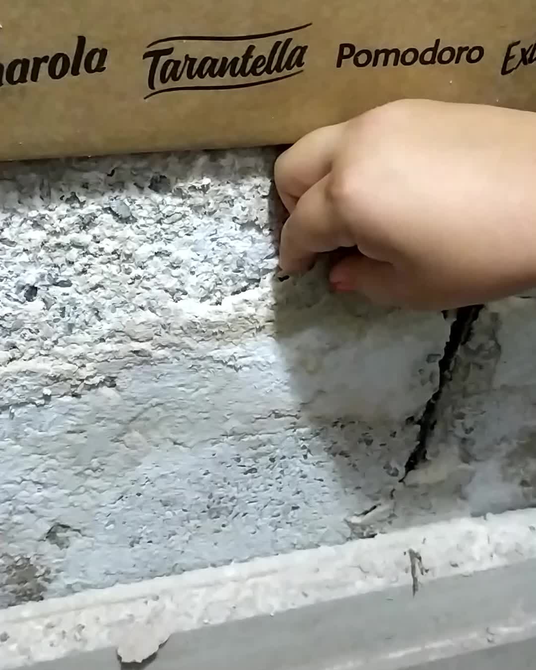 Perda do cobrimento da armadura!
.
#engenhariacivil #construcaocivil #engenharia #engenhariadf #manutencaopredial #vistoriapredial #sindico #engenhariadiagnostica #concretoarmado