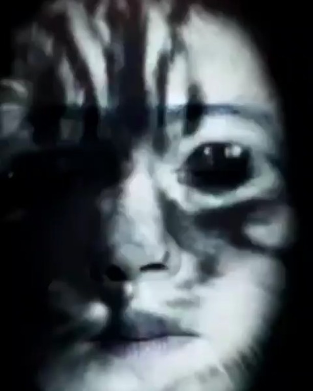 #kaputavur #hayvanhakları #kediaşkı #kedi #hayvandostları #patidostluğu #patidostu #catsofinstagram #cats 🐾