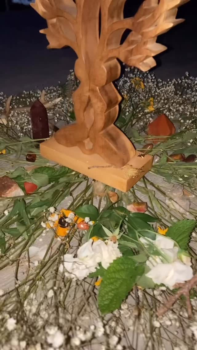 It has been so sacred to gather each moon together in ceremony, held in the medicine of community!
It is magic when we sing, dance, speak to the universe, move our bodies, come together with heart centered intentions!
🌹 We are dedicated to creating safe & sacred spaces for Wombyn in Buffalo, and we are so grateful for those we have connected with so far!
❤️ Our next circle is this Wednesday at Bidwell park from 5:30-8:30pm
Please RSVP so we know how much cacao to prepare! ☕️ 🍓
& check your email after for more details on the event!
Reach out for any questions, always!
Soul excited to gather together under the Aquarius Moon, during Lammas, in the Lions Gate Portal ☀️