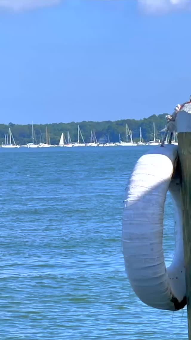 tune in to the @atasteofnewyork channel on @getspectrum on Wednesdays at 7:00pm to see our segment on @ol_stiles and @claudiosgreenport throughout the month of August! We had a wonderful time filming this piece and enjoying the views of the water. We hope you tune in tomorrow! #greenportny #olstiles #honey #claudiosrestaurant #hamptons #nyc #recipesofinstagram #seafood #salmon #brusselssprouts #marina #docklife #smallbusiness #myblazinhoney