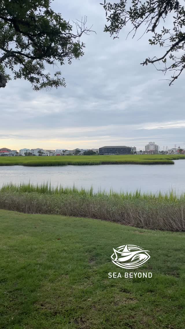 Would this not be the perfect view to sip some coffee?
Cleanups and Coffees is in full swing out at Sara J’s this morning. All coffee is generously provided by the amazing @beandreaming843