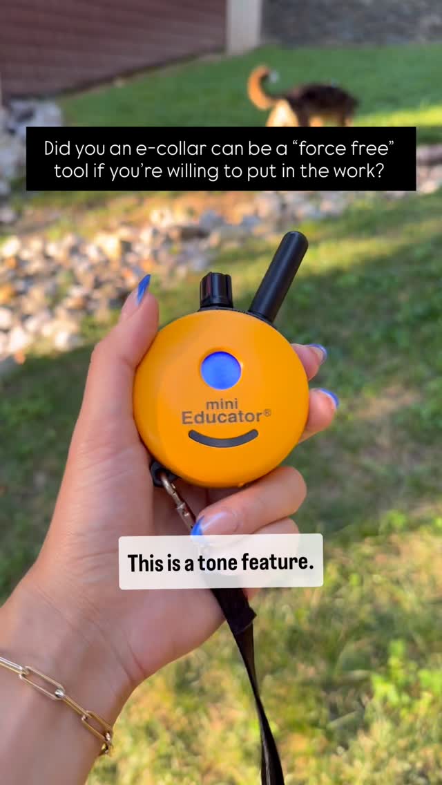 Mind. Blown. 🤯
Now mind you, I did not take a force free approach to get here. I’ve incorporated intentional, appropriate, timely, and clear punishment to encourage him to listen to me (or the tone on the e-collar).
My goal in training is to ensure your dog listens to you because they know it will give them the most success because good decisions = more freedom = more FUN. And as an added result, you need less corrections over time and a lot of your day to day interactions with your dog become, in fact, force free.
If this kind of training speaks to you, give me a follow to learn more and get step by step help to improve your dog’s training!
#dog #dogtraining #balanceddogtraining