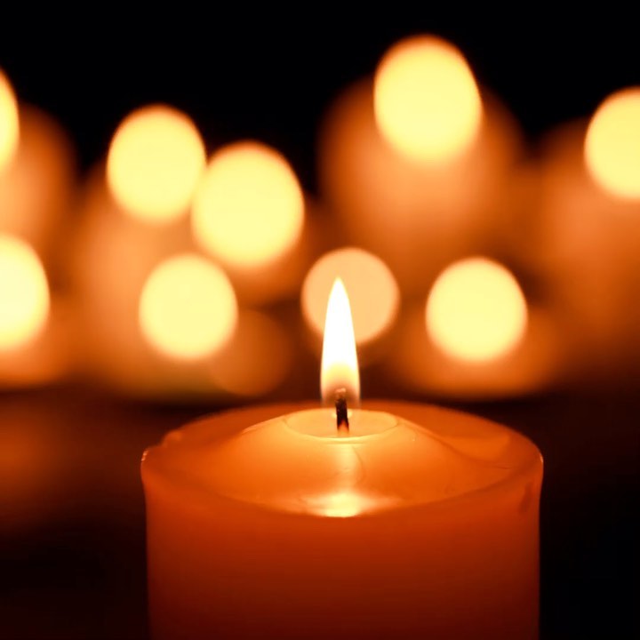 The Assembly of Spirit Inspirations
Speakers Service
5 pm - 6.30 pm UK GMT 🇬🇧
💯
Zoom Event (free)
.
email spiritualstars@gmail.com for password to enter 💓
#mediumship #god #spiritualjourney #spiritualgrowth #spiritualhealing #mediumshipworkshop #spirit #spiritart #spirituality #spiritualawakening #psychic #psychictarotreader #medium #platformmediumship #spiritguides #onlinemediumship #online #mediumshipdemon strations #mediumshipclasses #mediumshipcircle #mediumishipadvanced #spiritualism #spiritual #mediumshipmessages