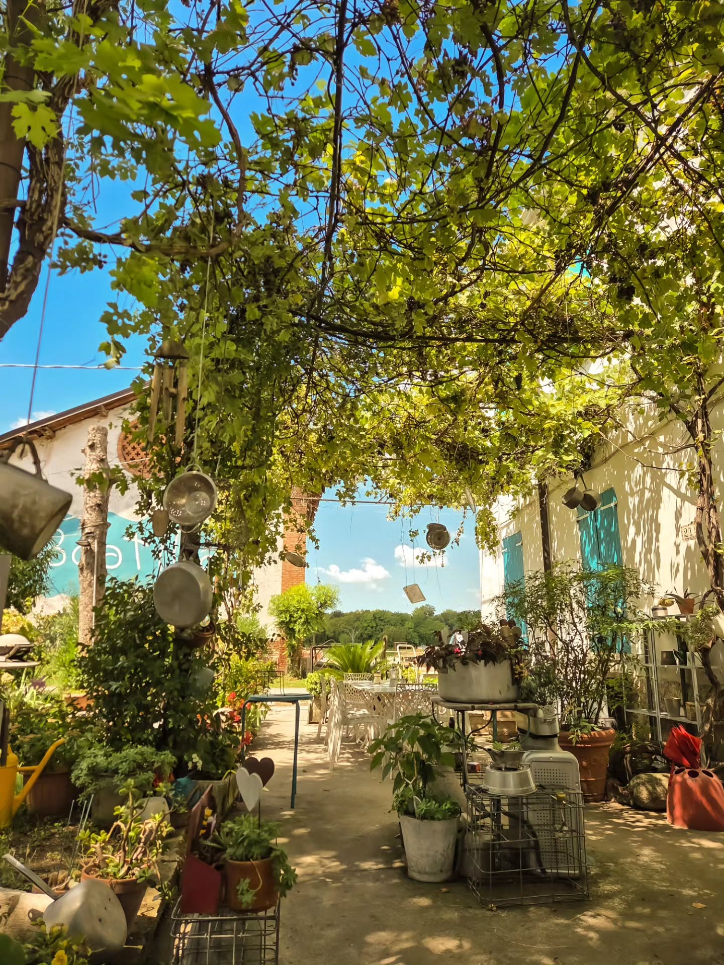 Here interrumpiendo el feed de mis photos ♥️ to leave some pictures de @agriturismobeatilla que es pure peace, homemade breakfast, the kindest people ☘️🌸 y pure dolce far niente con buena vibra🥰