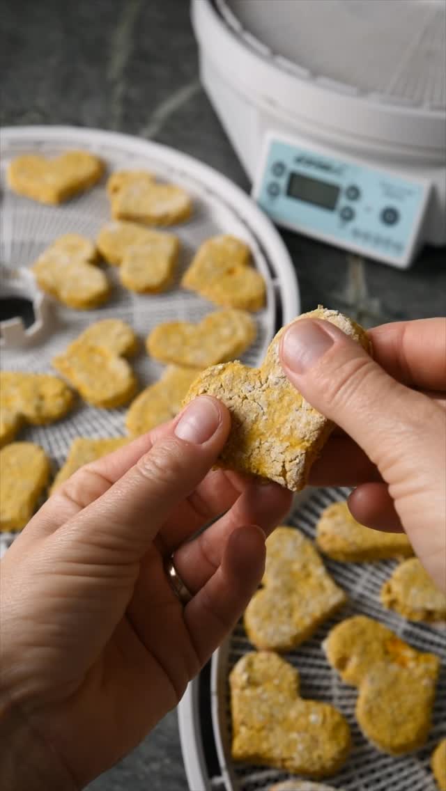 Homemade Pumpkin & Peanut Butter Dog Treats đ¶đŸđŠŽ
Made with love and your Ezi Dri Dehydrator
Thereâs something so satisfying about making your own dog treats, especially when you
know exactly whatâs going into them. These wholesome Pumpkin & Peanut Butter Dog
Treats are made with just five pantry-friendly ingredients and finished in the Ezi Dri Dehy-
drator to get that perfect crunchy texture dogs love. Theyâre free from additives, full of
flavour, and a fun way to spoil your pup naturally.
Youâll need:
âą 3 cups rolled oats
⹠1 cup pumpkin purée
âą Âœ cup natural peanut butter (no xylitol)
âą 2 eggs
Method:
1. Place the oats in a food processor or blender and blitz until they resemble a fine
2. 3. flour.
In a large bowl, mix together the oat flour, pumpkin purée, peanut butter, and eggs
until a thick dough forms.
Roll the dough out on a floured surface to around 1cm thick.
4. Use cookie cutters to cut into shapes (bone or dog shapes are always a hit!).
5. Arrange treats on dehydrator trays in a single layer.
6. Dehydrate at 75ÂșC for around 12 hours, or until the treats are completely dry and
crisp all the way through.
7. Let cool completely before storing in an airtight container.