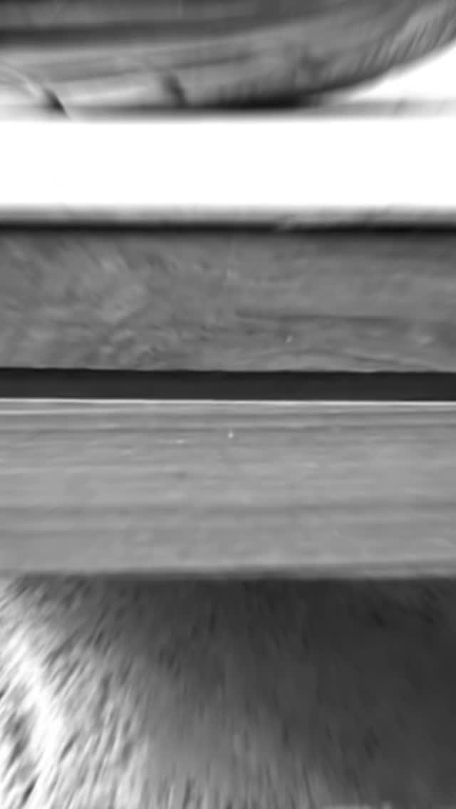 The central spine of the home, this sculptural staircase connects all floors with grace and lightness.
Its floating design turns everyday movement into a moment of architectural pause.
.
A #staircase that speaks of elegance and balance in a #luxuryhomes! The fusion of Italian marble, rich teakwood, and seamless glass brings a modern yet earthen aesthetic to life.
.
.
(staircase design, residence design, home, upscale height, family, decor, architecture, Gujarat)
.
.
#staircasedesign #luxuryhome #luxuryinteriors #luxuryhomes #interiordesigner #homedecor #minimalist #myhousebeautiful #igdaily #interiorphotography #home #luxurylifestyle