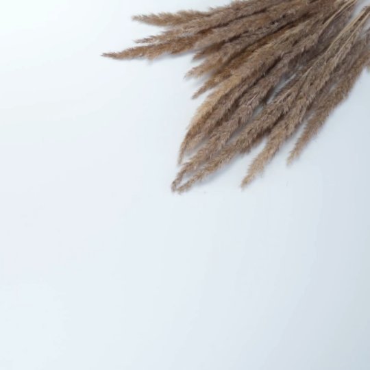 Grow your business your way. Grow your business at your own pace.
#virtualoffice #mailboxplan #entrepreneur #websitedesign #socialmedia #socialmediamanagement