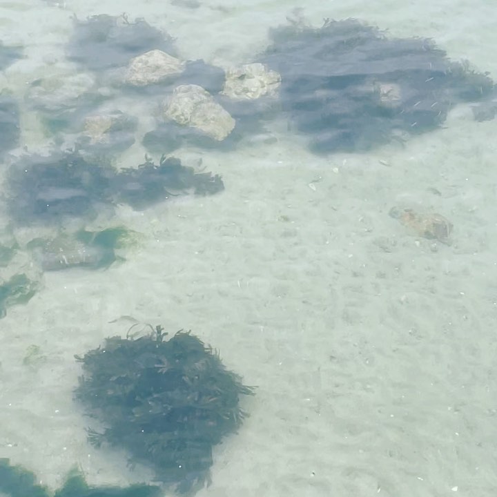 The earth is blue #earthday #oneplanetoneocean