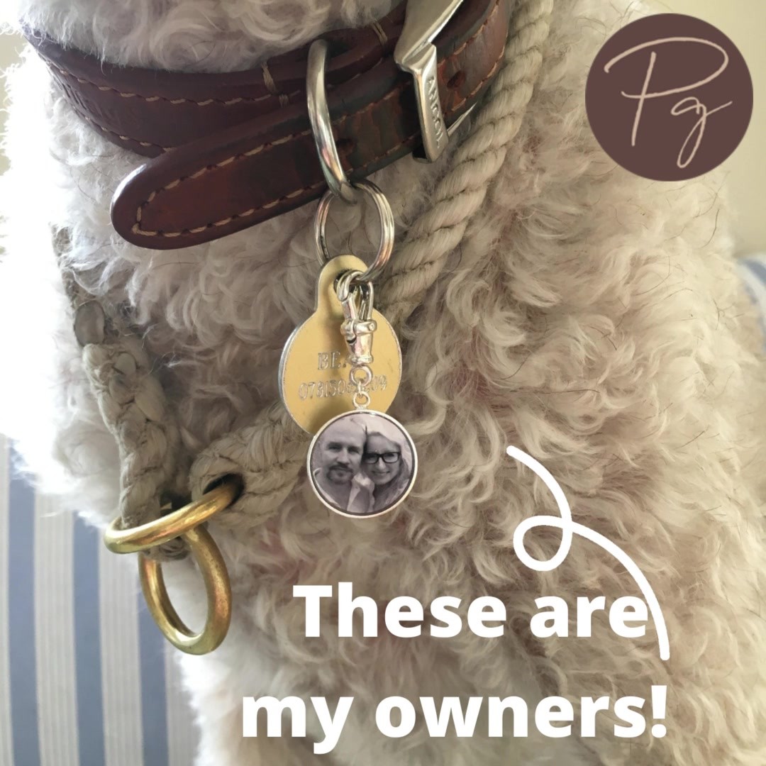 Now if I get lost you can see what my
owners look like! Personalise your tag now at
https://photogem.co.uk/.../dog-collar-bag-accessory-with...
.
.
.
#dogcollarshop #idfordogs #identification
#findmyowners #bagtag #personalisedbagtag
#bagtaggift #photogem #bagattachments
#bagaccessories