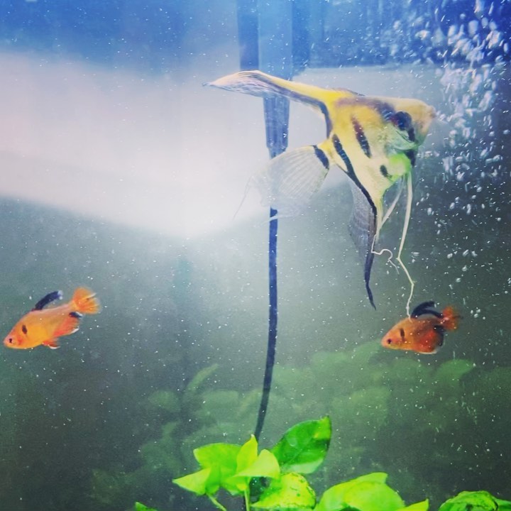 Here at Beautiful Facials
🦋🦋🦋 🐠🐡🐟