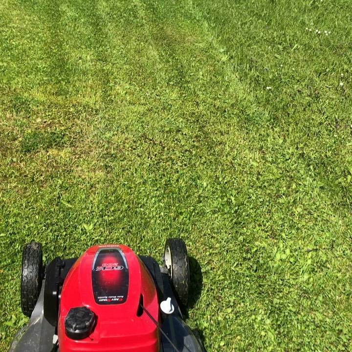Go team mower!. #honda #hondamower
#gardening #lawncare #lawn #lawnmaintenance #lawnmower #teamwork #landscapedesign #gardenmaintenance #nendaz #nendazswitzerland