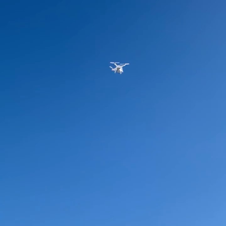 Sally coming home from a hard day of work. #rpas #benchmarkgeomatics #uav