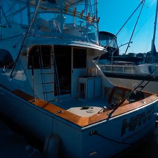 I still think this video is the best one of Havoc, even it doesn’t involve fish #havocboats #post #havoccharters #goldenretriever #sportfishing.