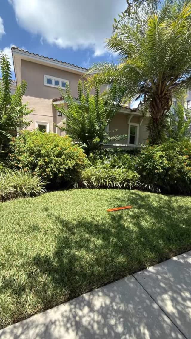 #lawncareservice#lawnmaintenance#lawncarebusiness#beforeandafter#trimming#cleanup#lawncarelife#orlandofl#orlandoflorida