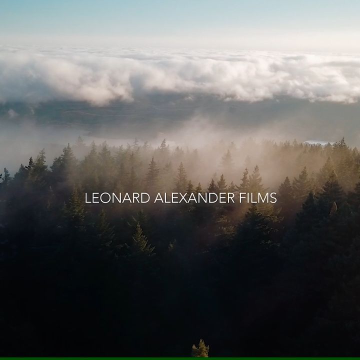 I just finished making this reel to put on my website. Any feedback before I post?