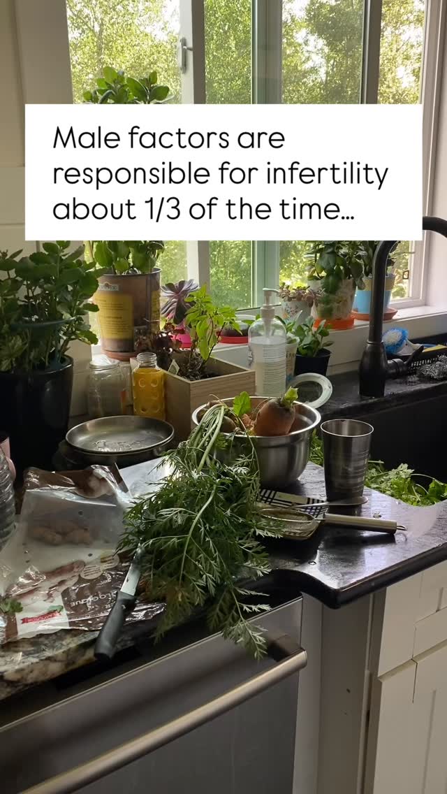 Healthy egg + healthy sperm = 👶
They’re both really really important, yet for some reason, male factors are often ignored for months or even years. Apparently 40% of couples referred to fertility clinics haven’t had any kind of male fertility work up done!
(Also, after all my cautions about plastic, I feel obliged to explain the plastic red solo cups and water bottles on display are because my boys like to do tricks with bottle flips and pyramid building these days 🤦🏽♀️)
#infertility #preconceptioncare #functionalmedicine #functionalfertility #holistichealth #womenshealth #menshealth