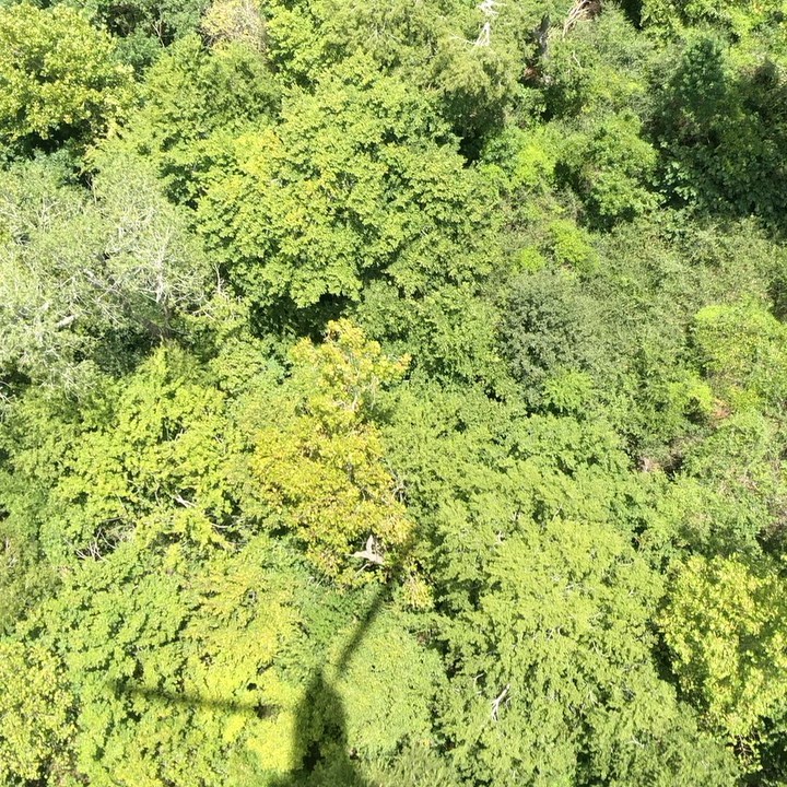 Back door views
#military #tx #texas #merica #usa #army #navy #airforce #marines #coastguard #sar #recruitment #nusafm #pedro #phrog #phrogsforever #pedro-01 #rappelling #petzel #petzel_official #America #hh46 #ch46 #rigging #pilot #crewchief #ao #5.11 #511tactical