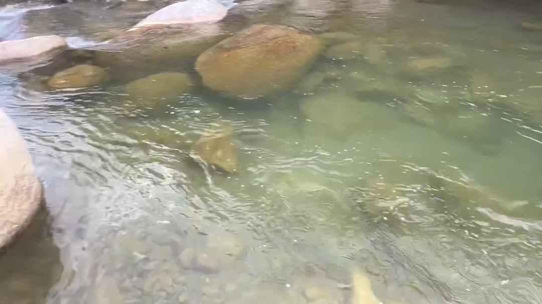Ready for a morning dip? The beautiful river is calling for your first swim of the day!
#ReservaLasCorrientes #Reserva #Hotel #Staycation #Finca #Naturaleza #Antiquioa #medellin #Colombia #DigitalNomad